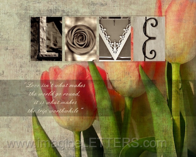 Wall_Art_Alphabet_Photography_Art_ 2370.jpg